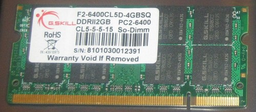 2gb skill ddr2 ram - 2gb, 800mhz